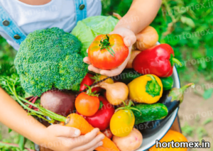 Frutas y Verduras.